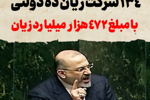 فرار شرکت های شبه دولتی از نظارت